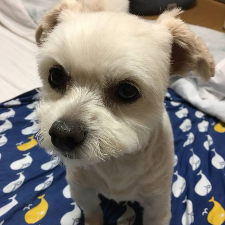 190ecb5a 0ef3 47cf ab29 5224cde4c782 1563359078262