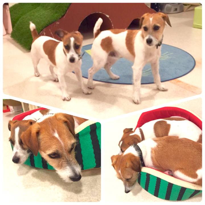 190f1c2e 3663 4ef2 b024 3ee41d740fea 1556192934722