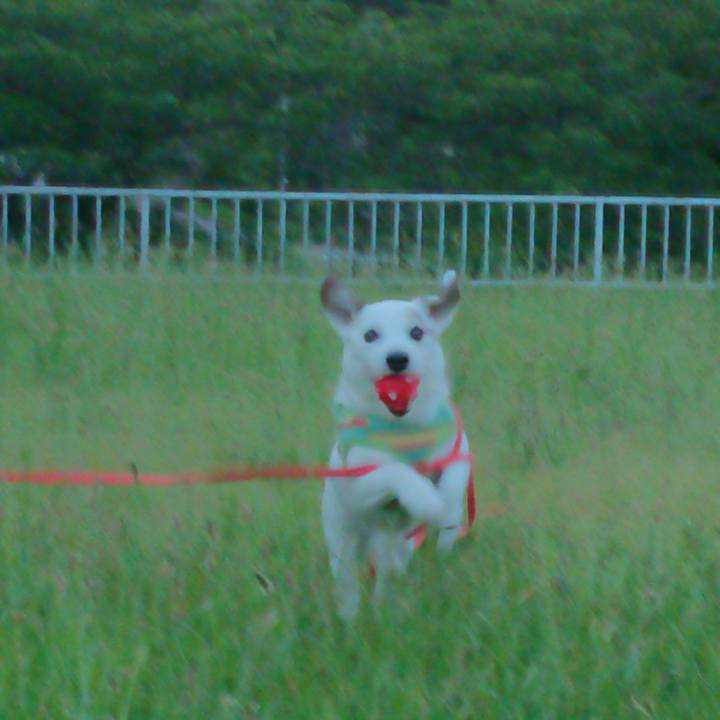 190f3749 8d3a 49d8 804e 12d0470201a1 1559776199140