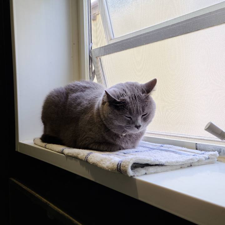 190f527d a084 4a0f baac e245b59c748f 1601343832250