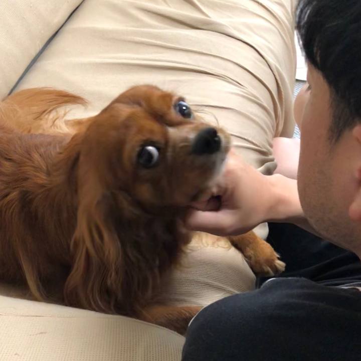 190f7916 6f8d 43cf 857b 9ed04ff0df8c 1598883807440