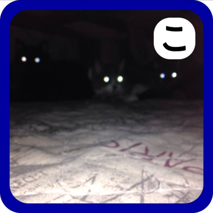 190f799f a9dd 49e9 a3f7 b9666f9b5399 1514804490127