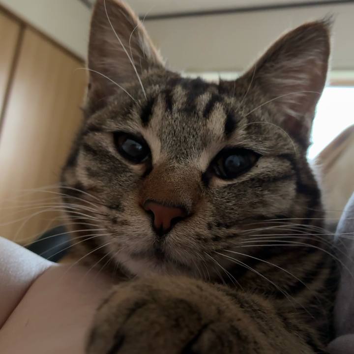 190f890b 266d 4908 aec9 145af7647bf9 1747905203061