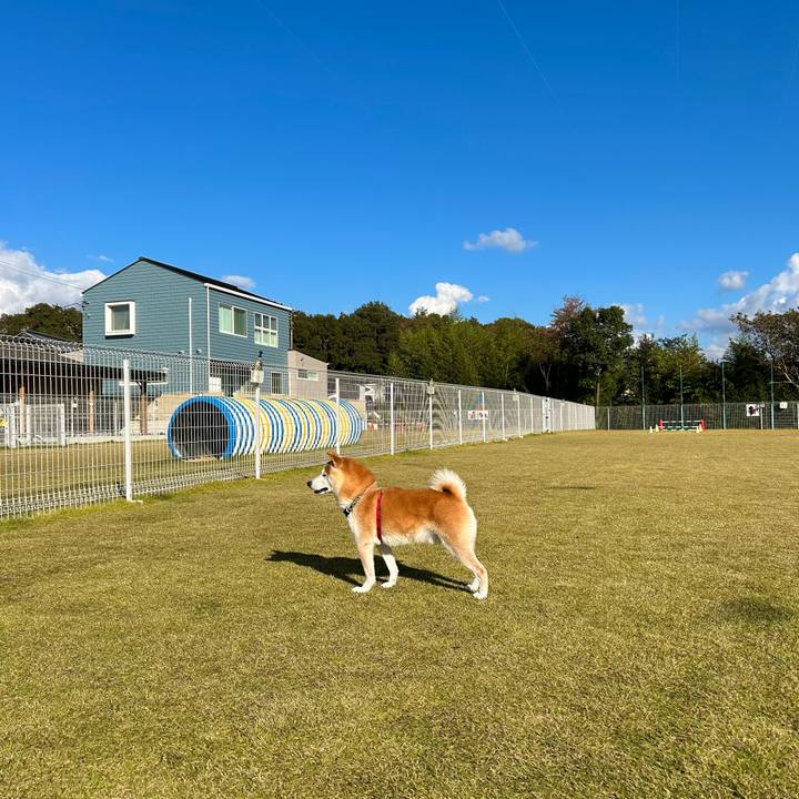 190f9216 3421 4bfb b0fd 17f487586866 1731056000800