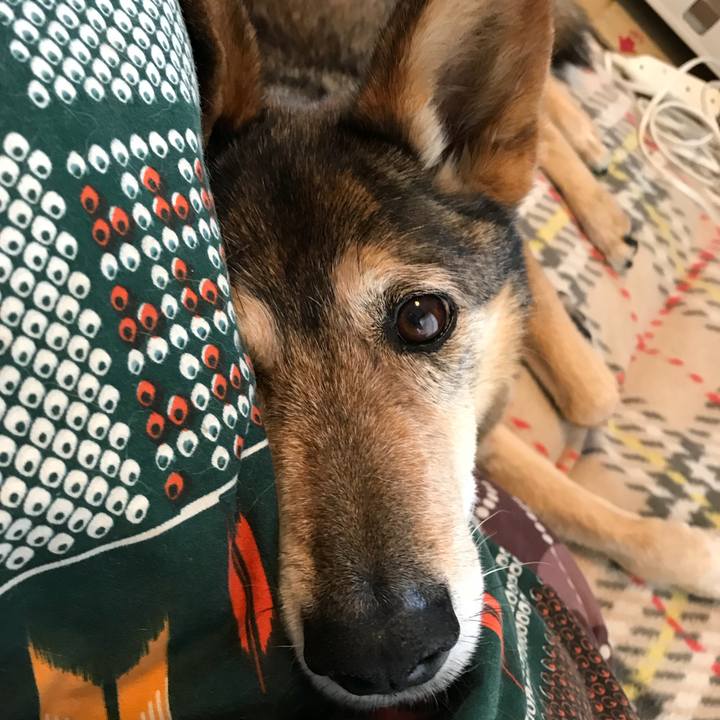 190faecc ebe7 4d8b 9686 d2ebd8499bb7 1525622463837