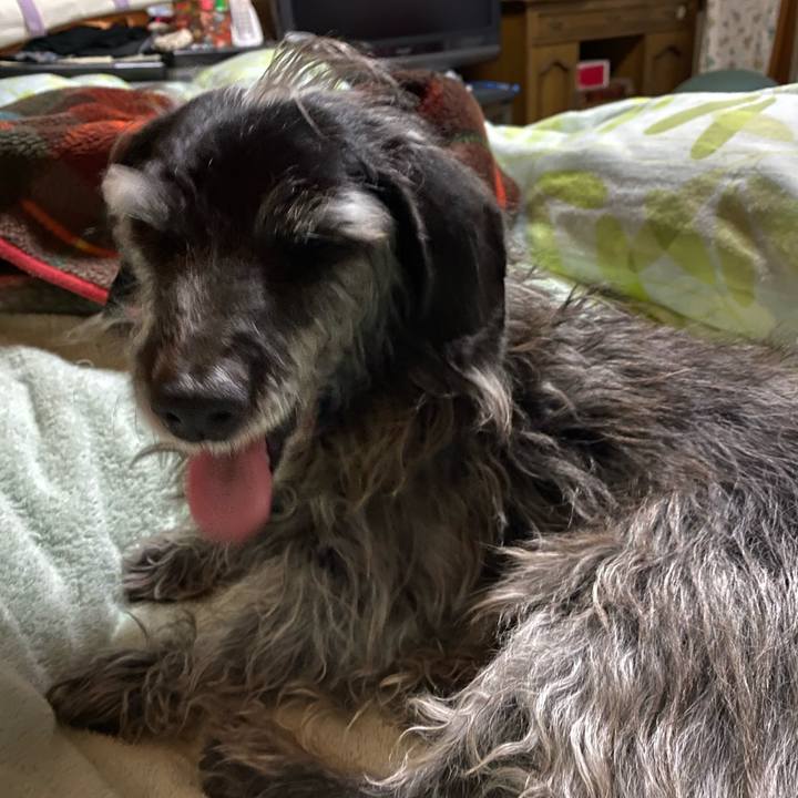 190fbb23 9f33 4685 b5e3 44cae513d92a 1707173417441