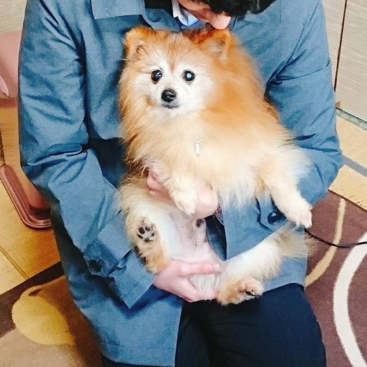 190fd55c 6896 47ac b4e7 0731b594001c 1585696717137