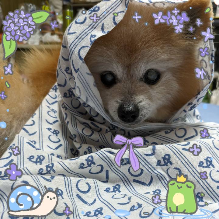 190fe0c6 7c3d 4ee5 8695 4c75bb533ceb 1718661485774