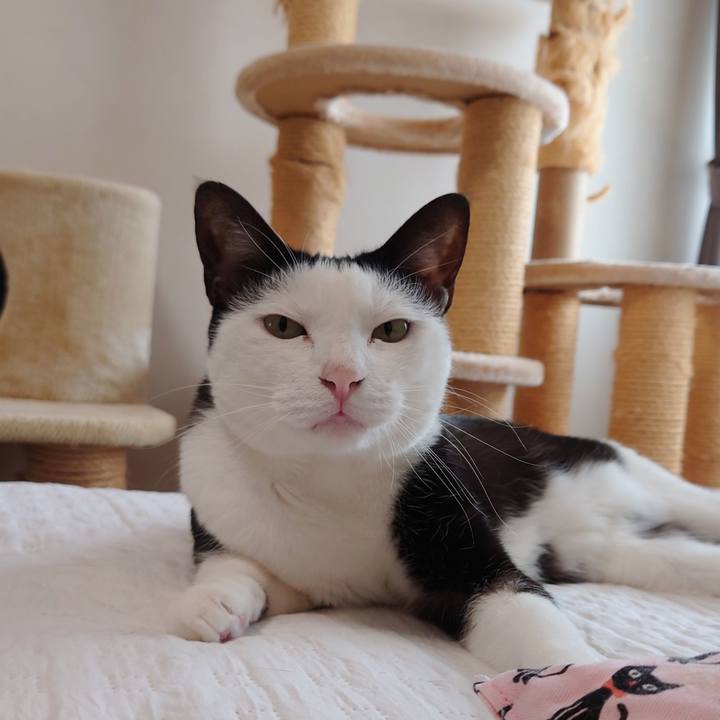 190fe974 f3ea 4883 be14 6d1062964fa8 1630379716344