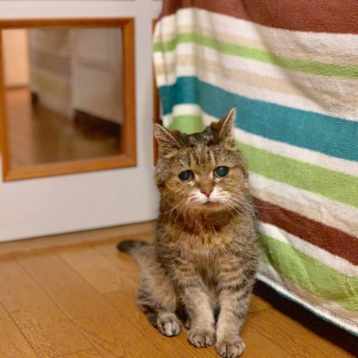 190ffbeb 2cc7 457a 8cec 6abef044046c 1565665197754