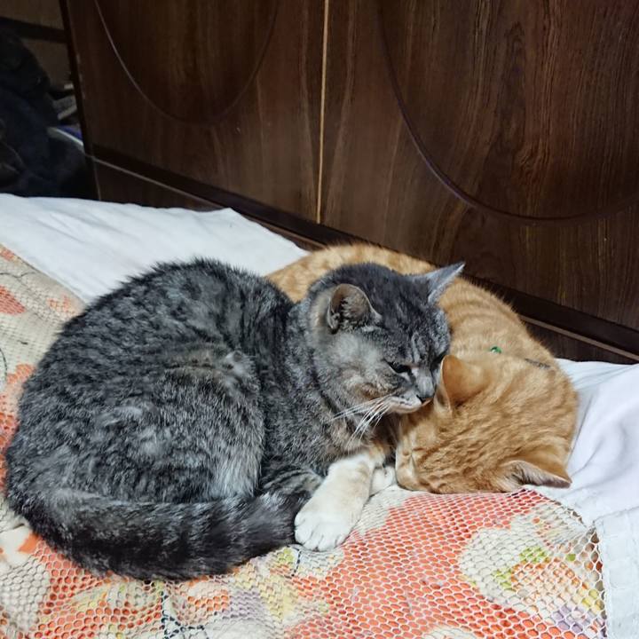 19100d23 3576 4bc7 a4dd 2b9db10ed26e 1584189108361