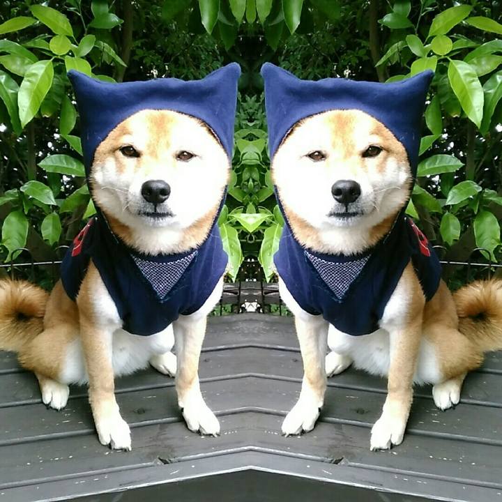 19101240 11cb 4c4b 91c0 855c63bb9d32 1528029602996