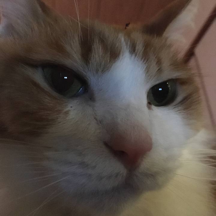 191016f6 6c08 4277 99e9 e01aed0e8813 1579911347982