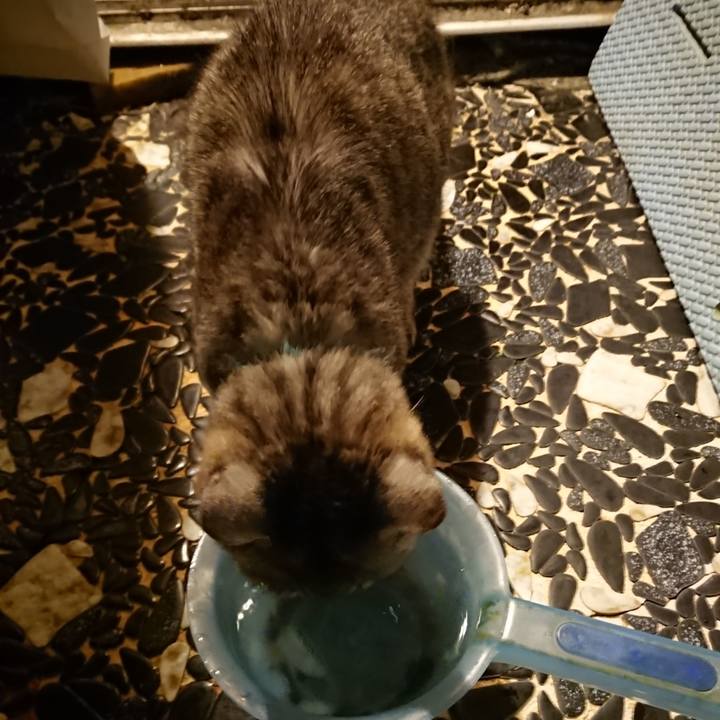 191049eb 53b1 48bd 932f dc68a515f489 1567505712214