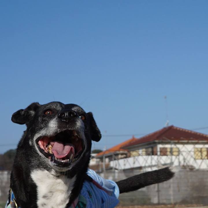 191059c2 77e8 4d83 ac75 53583c452f4a 1771720265130