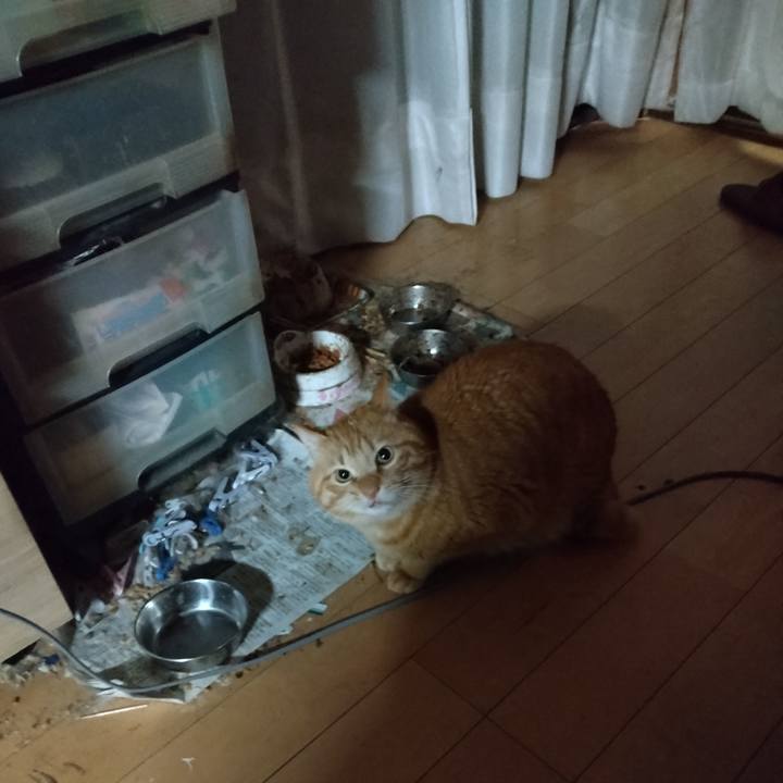 19105c6e 8612 41fc 8efb 161cf08fe5c5 1709933904305