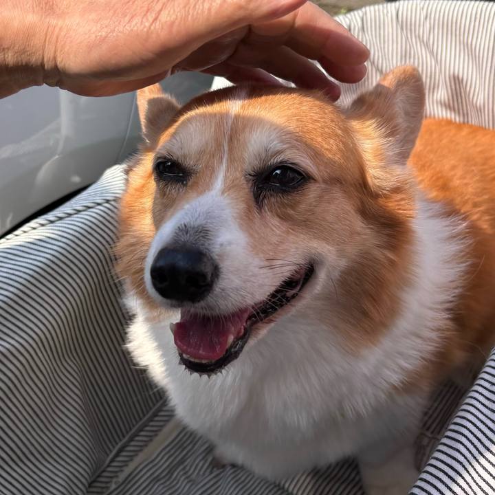 191080e5 43e9 4dc9 91ee 244d738d3615 1746246118168