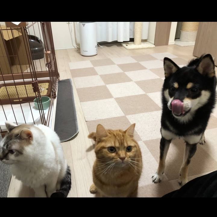 1910a13f 2b8e 4a5f 90b2 3f08a42c8b6e 1576540724798