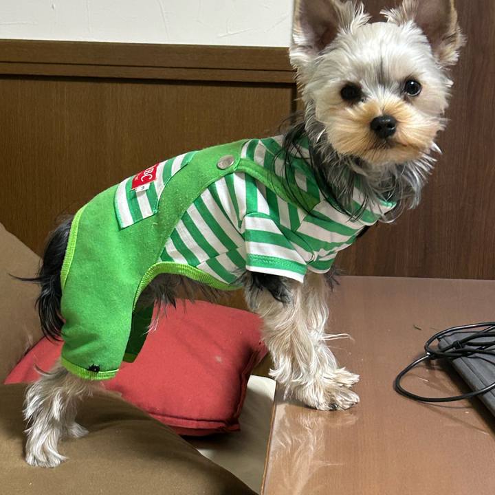 1910f016 2c23 464d 8928 0f5b552a7cf8 1735608395235