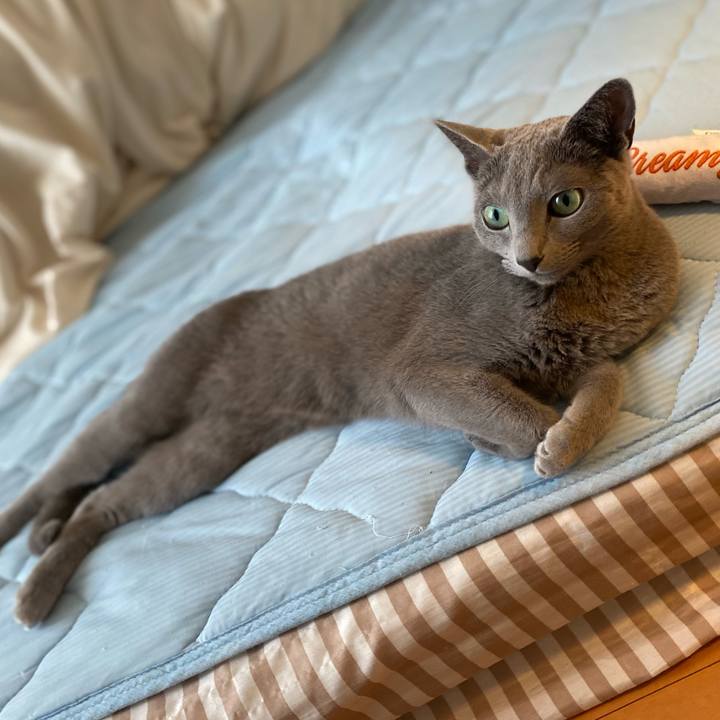 1910f730 f08e 4fca b637 17144220fc6f 1720741967948