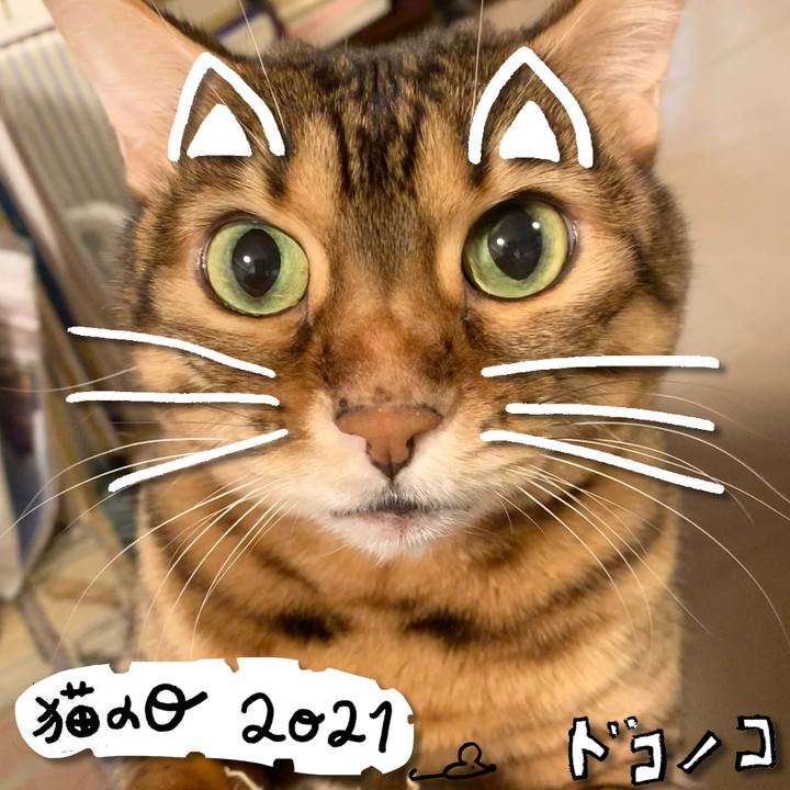 1911a499 44b4 4e4c a744 debb209d4df5 1613964731972