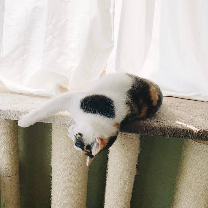 1911cfc4 df6a 4441 992c b566ad6f3c6c 1556675726264