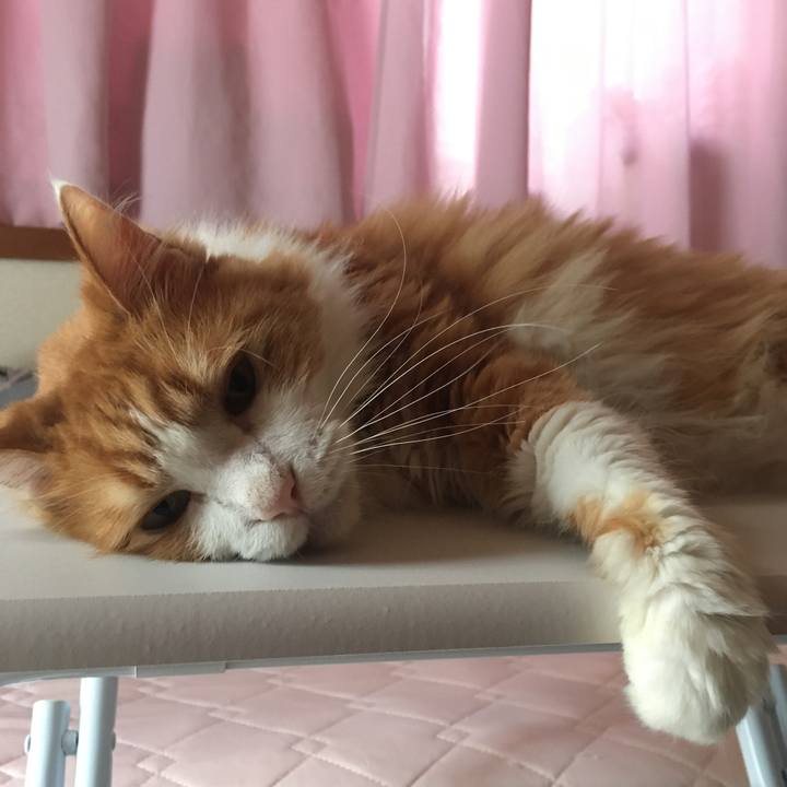 1911f9fe 02a8 48b8 92d6 31358687289a 1628485426564