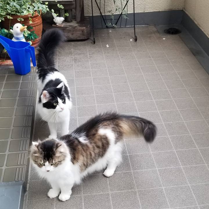 1912011a ed16 4952 8af8 4d79dffcf712 1593902485639