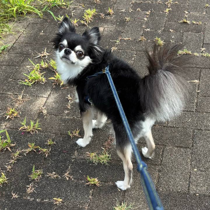 19120ce2 9d6d 4bbb b2bf b9404945d336 1754756627824