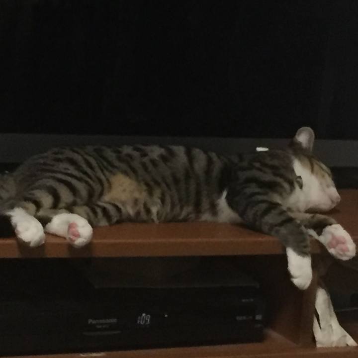 19123007 5643 4b1c 9147 cde758ef7e6f 1658682578877