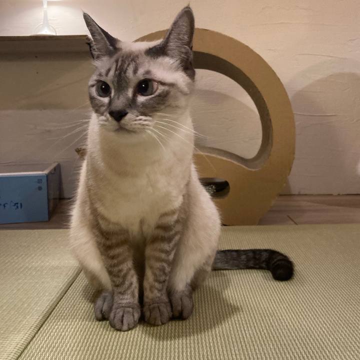 19126174 0af2 49e9 8cc2 13cd2243642c 1698235070667