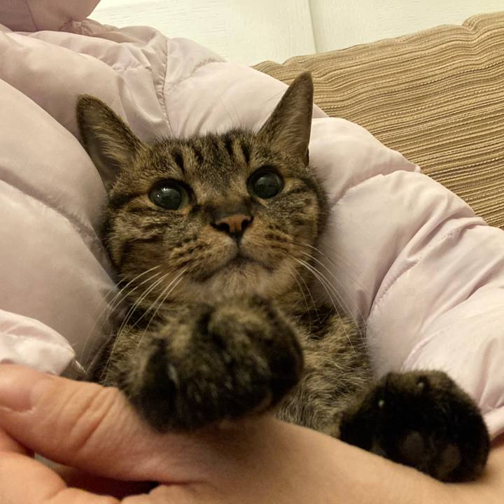 19126f3d b281 4b3d 91eb 3bc5ed1f7b83 1648560848913