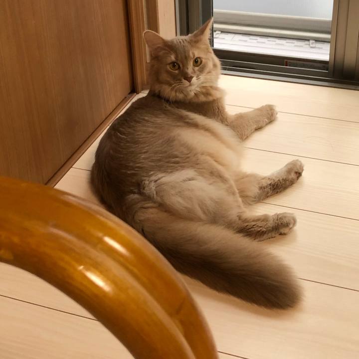 1912763c ffc7 4cbe 88db 04f193ca2a78 1604014889854