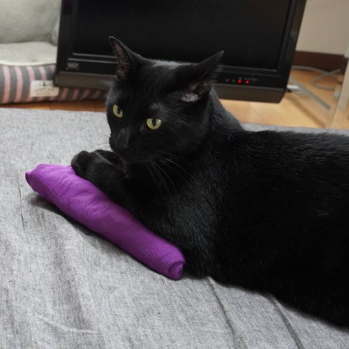 1912afa6 4a54 45f6 8324 8a440861ff66 1698845481094