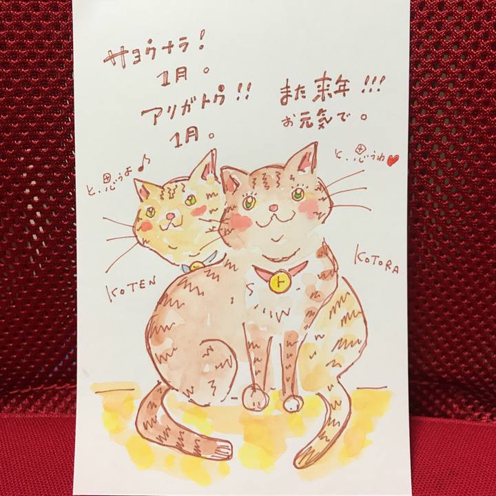 1912dbcd bfd0 4976 9b2a 69b8e5368b5e 1548956650313