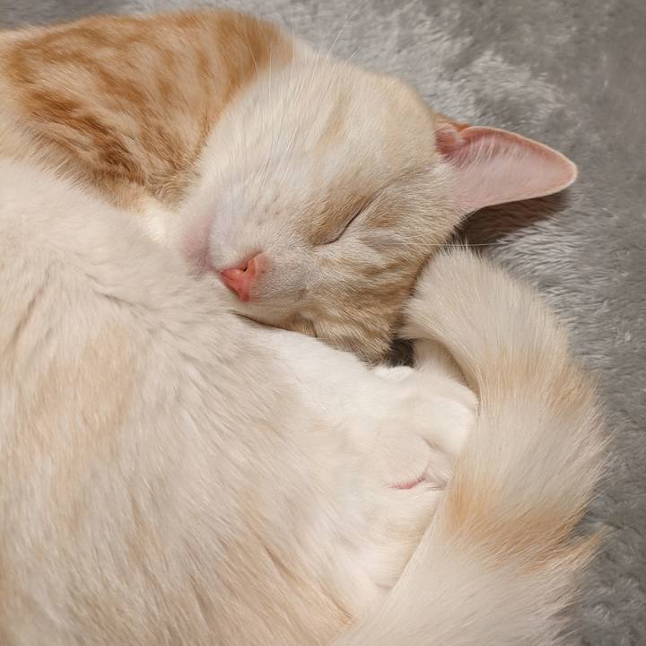 1912ed04 4f03 4d13 9395 4edaea349407 1696324330361