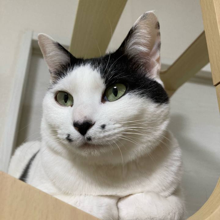 19131fcb 27df 45fa b8dc e58286606e5c 1770643751136