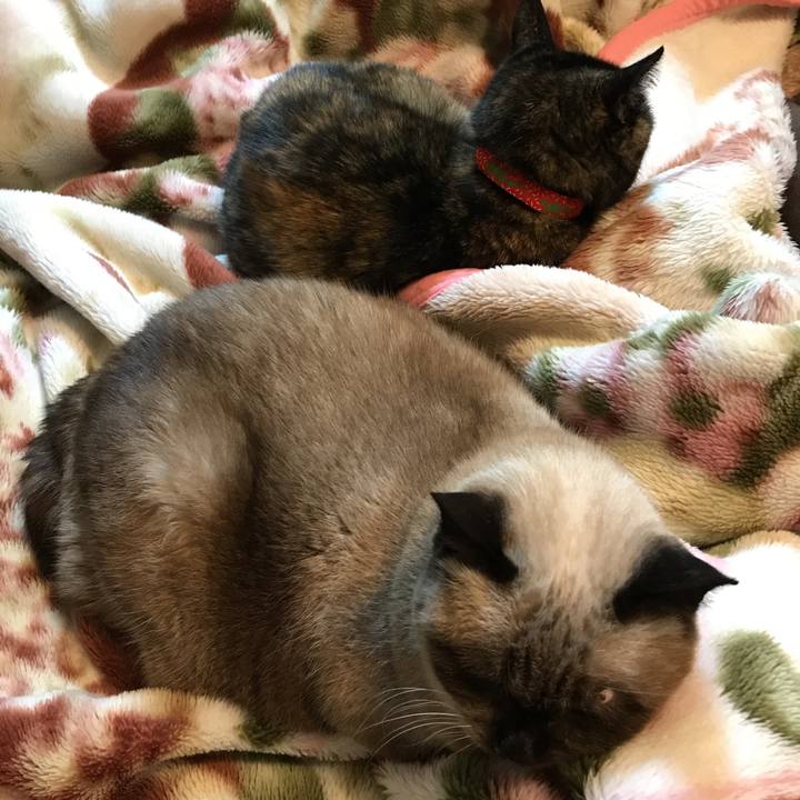 191325c9 b3a2 4bca b37b 4b484df6bb40 1511263660620