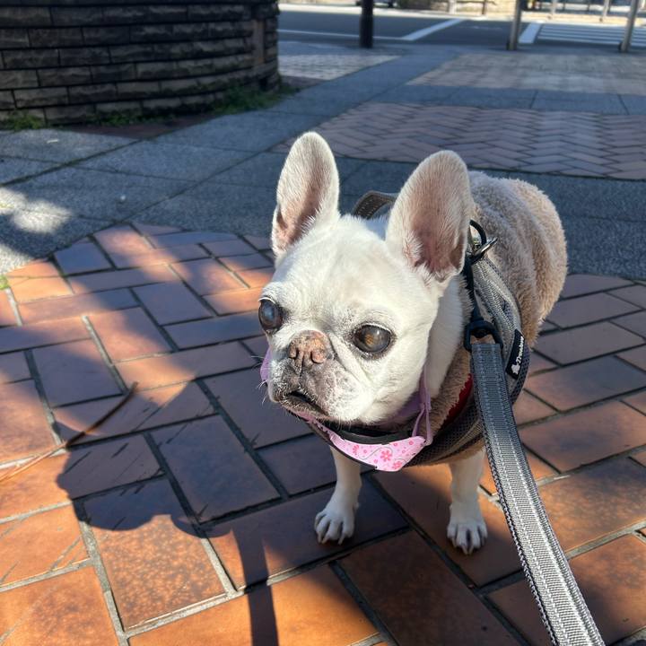 19132dd9 0ead 4899 b195 f82690d2b870 1772952053939