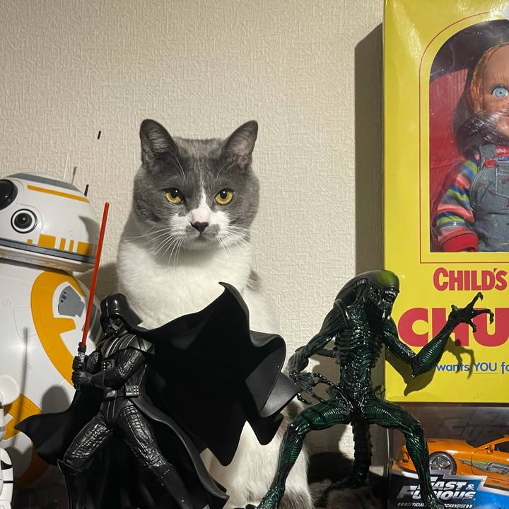 191360ba 9472 4e9f a28f e3489a6205d6 1624100164332