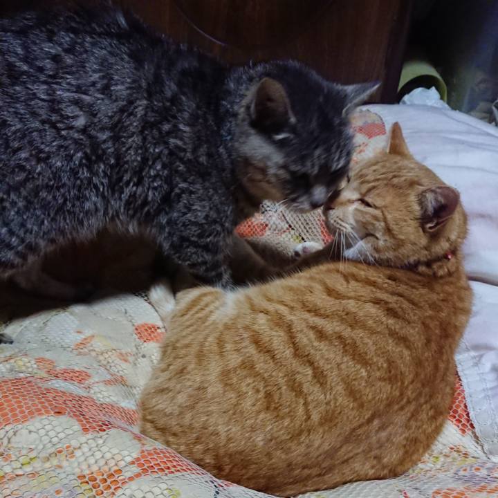 1913aaa6 0684 49e8 99f5 4a63e242ad5f 1577621769711