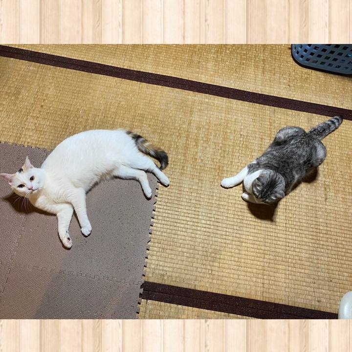 19147895 d419 4a66 af2a 71b8bad8c49e 1623682285293