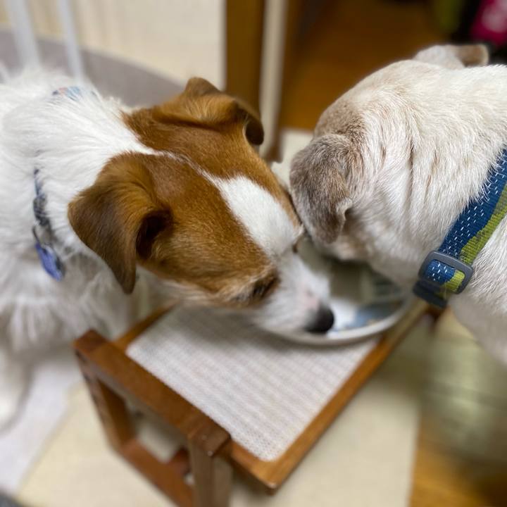 19148995 6447 4d06 8848 60421c9a4d10 1718977273304