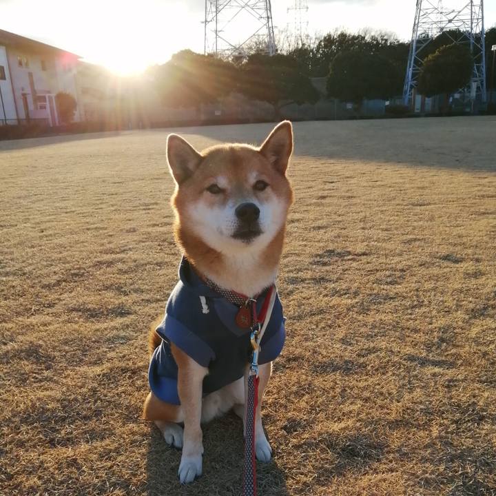 19148e67 bb74 4fe3 9d91 6dabe53e499d 1640936171058