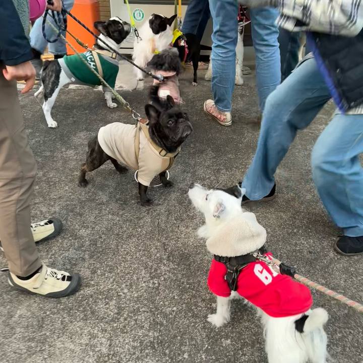 1914918f b7e3 44b9 b3a0 b93e93780588 1765438448987