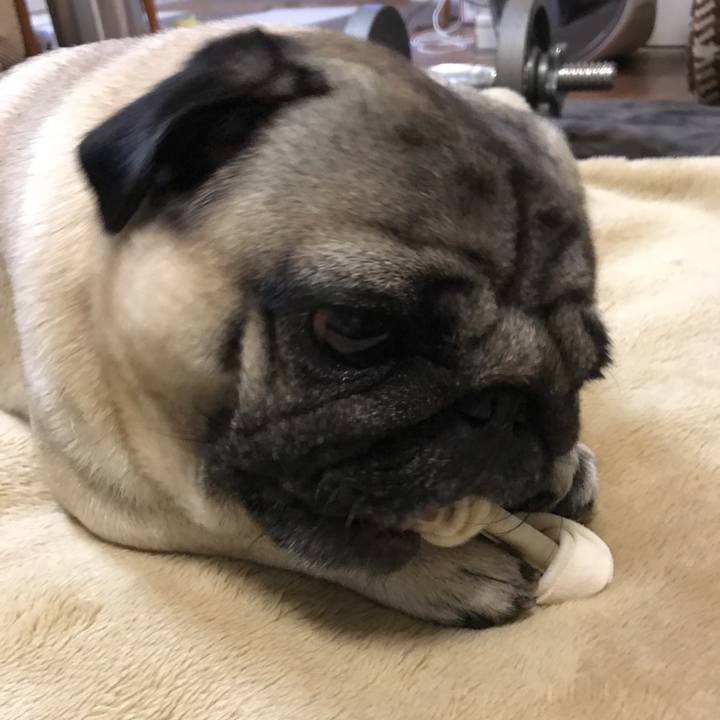 191496b6 1769 4942 aae5 ea4d3f2308ca 1510918762267