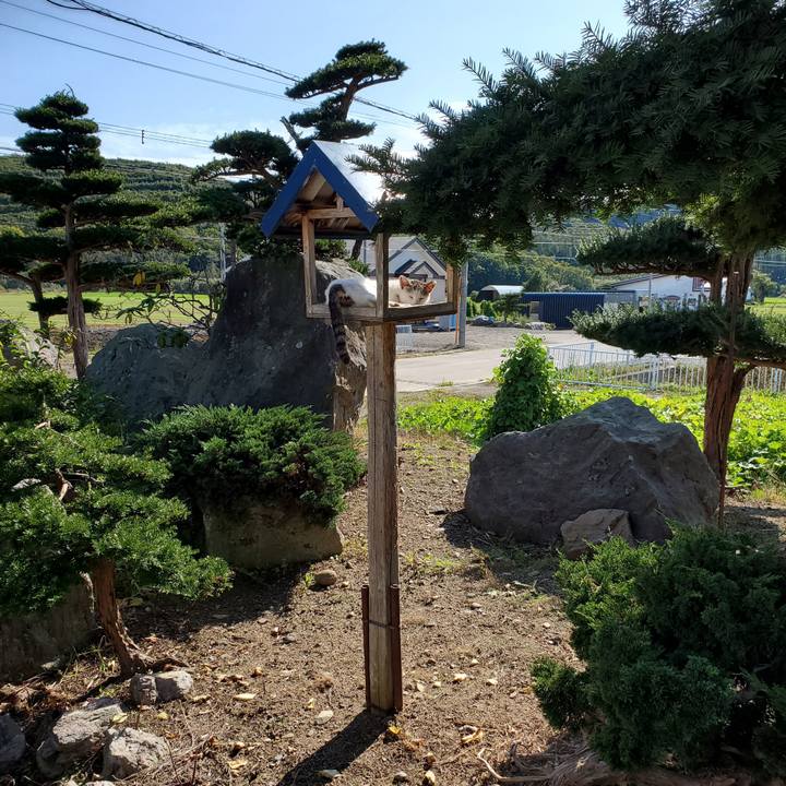 1914a6eb c44c 4515 bc19 87b2552e6253 1696131552990