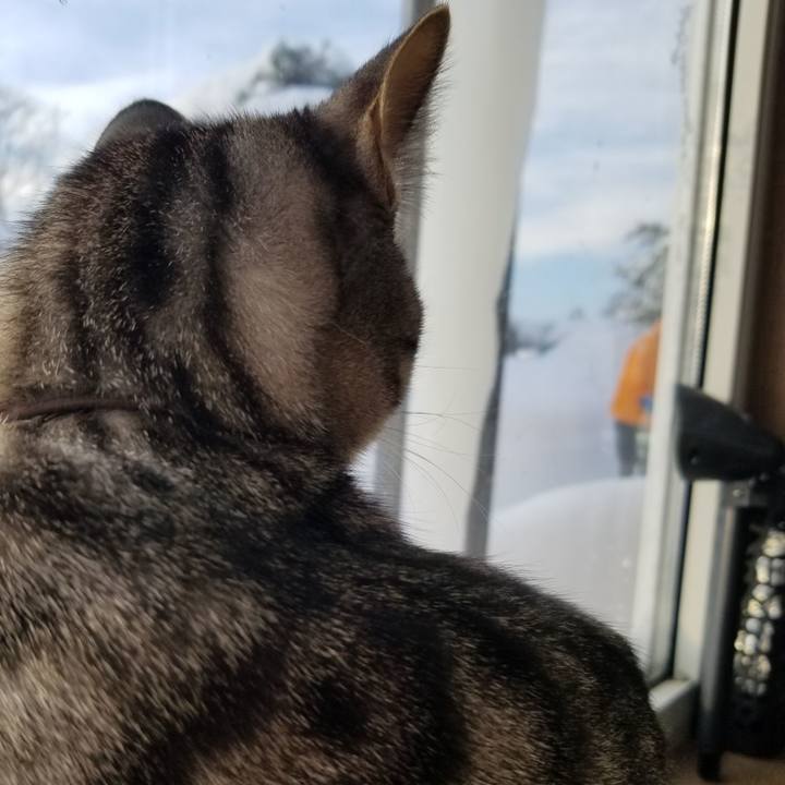 1914d0d6 1e16 4be5 8f08 4bc754726ed7 1675296623895