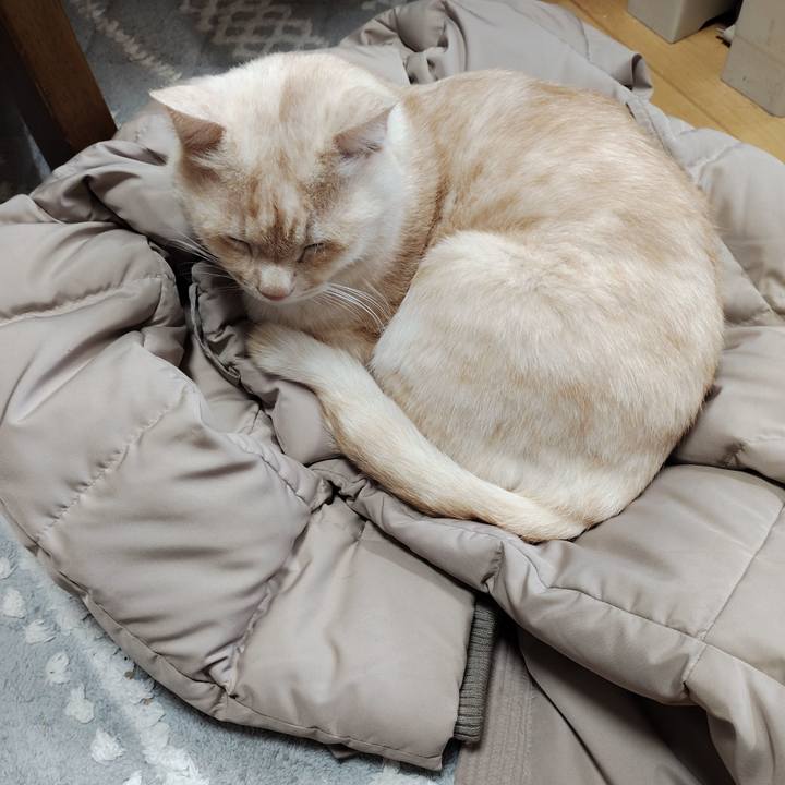 1914eba5 9dd2 4adf 921c 96db47153e2e 1773442530306