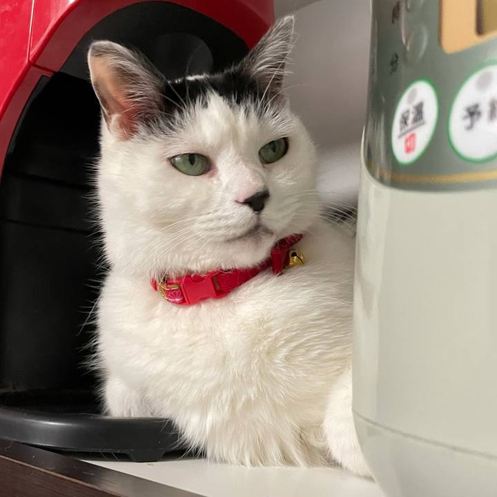 19152271 7407 413c b2c6 563967d1e73d 1612606432805